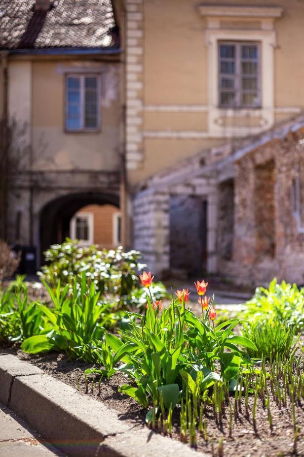 #Stayhere - Historic Vilnius Old Town Chic Studio ภายนอก รูปภาพ