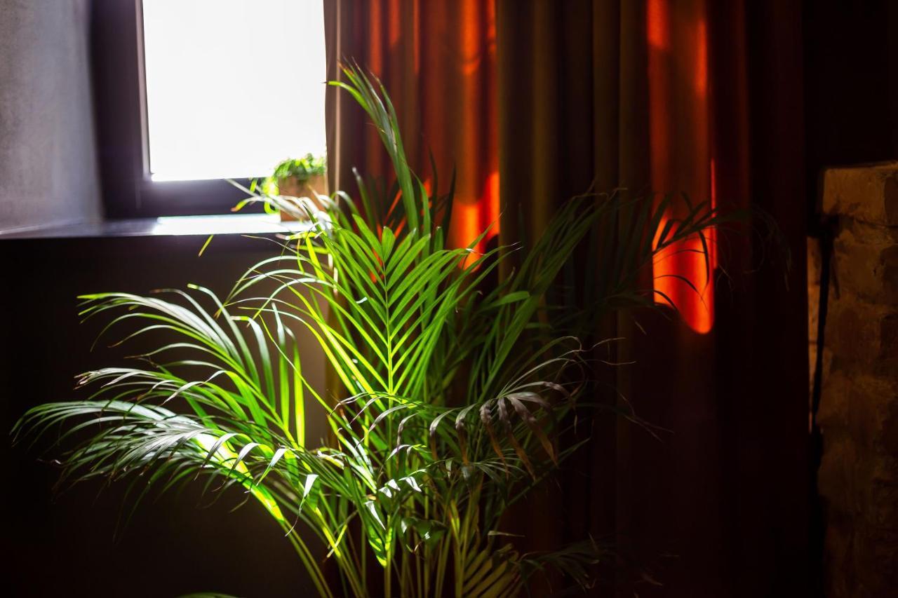#Stayhere - Historic Vilnius Old Town Chic Studio ภายนอก รูปภาพ